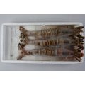 【冷凍蝦蟹類】斑節蝦(明蝦) 3尾/約450g~頂級海鮮食材~絕對挑動您的味蕾~
