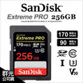 【台灣公司貨】Sandisk Extreme Pro SDXC 256G 256GB 170/90MB/s 記憶卡