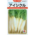 【1磅裝蔬菜種子】白長二十日大根，速成的可愛小蘿蔔品種