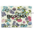 ♡印地摩沙╭♡義大利 Alchimia 阿奇米亞 草本海棠手工香皂 Begonia 125g