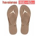 havaianas 哈瓦仕 最新款 素面小厚底 High Light 古銅金【台灣鞋會】