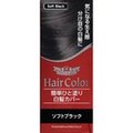日本 Dr. Ci-Labo Hair Color 輕巧美髮補色膏 (黑/棕兩色) 染髮 快速補染 染髮筆 挑染 白髮