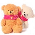 情侶泰迪熊 生日禮物 結婚禮品 娃娃 大娃娃 圍脖熊 結婚熊 一對2隻的喔!