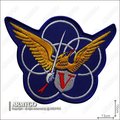 空軍401聯隊隊徽章