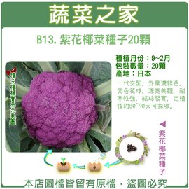 結球類及花菜類 蔬菜之家 蔬菜花草種子 園藝資材專賣 Pchome商店街 台灣no 1 網路開店平台 結球類及花菜類 蔬菜之家 蔬菜花草種子 園藝資材專賣 Pchome商店街 台灣no 1 網路開店平台
