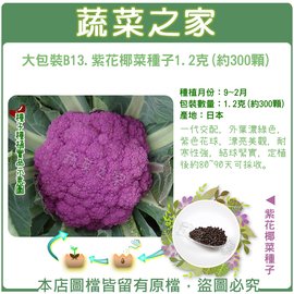 【蔬菜之家】大包裝B13.紫花椰菜種子1.2克(約300顆) 種子 園藝 園藝用品 園藝資材 園藝盆栽 園藝裝飾