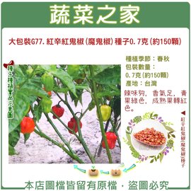 【蔬菜之家】大包裝G77.紅辛紅鬼椒(魔鬼椒)種子0.7克(約150顆) 種子 園藝 園藝用品 園藝資材 園藝盆栽 園藝裝飾