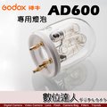 【數位達人】Godox 神牛 AD600 專用燈泡 AD600FT 600W 燈管 棚燈 外拍燈 / 適用 AD600B AD600M AD600BM