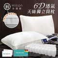 Hilton 希爾頓。VIP 6D立體透氣天絲獨立筒枕(B0080-X)