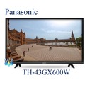 【暐竣電器】Panasonic 國際 TH-43GX600W 液晶電視 43型 4K高解析度電視