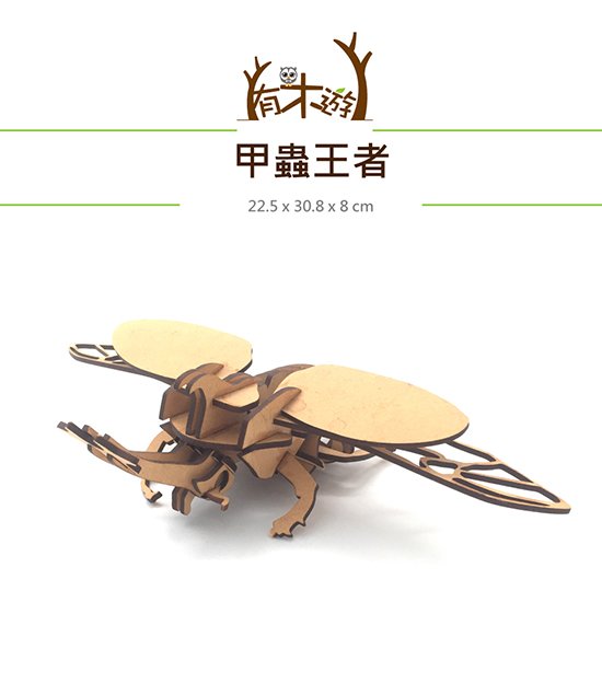 有木遊 甲蟲王者 Wits Life智慧生活 有木遊 甲蟲王者 Wits Life智慧生活