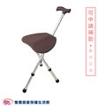 富士康 拐杖椅 手杖椅 鋁合金 FZK-2103