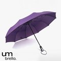 【輕量款-深紫】10骨 超大傘面自動傘 一鍵自動開收傘 摺疊傘 雨傘 折傘