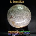 珊瑚玉球/菊花玉化石~8.6cm