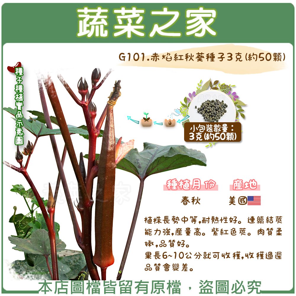 【蔬菜之家】G101.赤焰紅秋葵種子3克(約50顆)種子 園藝 園藝用品 園藝資材 園藝盆栽 園藝裝飾