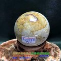 珊瑚玉球/菊花玉化石~6.4cm