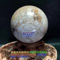 珊瑚玉球/菊花玉化石~8.0cm