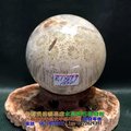 珊瑚玉球/菊花玉化石~8.1cm