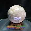 珊瑚玉球/菊花玉化石~7.3cm