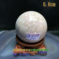 珊瑚玉球/菊花玉化石~5.8cm
