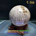 珊瑚玉球/菊花玉化石~7.3cm