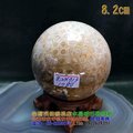 珊瑚玉球/菊花玉化石~8.2cm