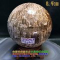 珊瑚玉球/菊花玉化石~8.9cm