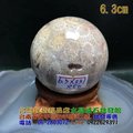 珊瑚玉球/菊花玉化石~6.3cm