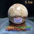 珊瑚玉球/菊花玉化石~6.5cm