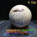 珊瑚玉球/菊花玉化石~6.9cm