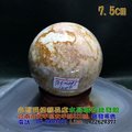 珊瑚玉球/菊花玉化石~7.5cm