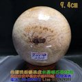 珊瑚玉球/菊花玉化石~9.4cm