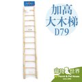 《寵物鳥世界》台灣製 加高大木梯D79 │鸚鵡玩具 攀爬 鳥玩具 原木玩具 鳥籠配件 樓梯 梯子玩具 小動物 LH030