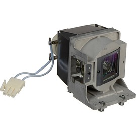 OPTOMA原廠投影機燈泡BL-FU190C / 適用機型X303