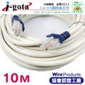 i-gota CAT6A 超高速網路多彩線頭傳輸線 10M cat.6A