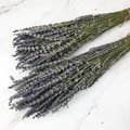 進口乾燥天然薰衣草:英國藍-乾燥花圈 乾燥花束 拍照道具 室內擺飾 乾燥花材 鄉村風-3元/1支