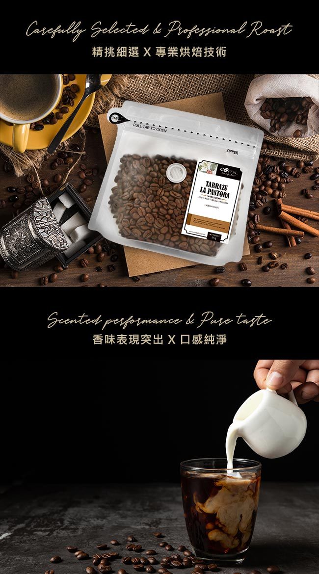 CoFeel 凱飛鮮烘豆印尼蘇門答臘黃金曼特寧中深烘焙咖啡豆半磅+專利濾泡耳掛式兩用咖啡架(SO0064S)
