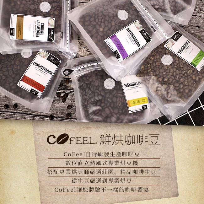 CoFeel 凱飛鮮烘豆衣索比亞耶加雪夫中烘焙咖啡豆半磅+專利濾泡耳掛式兩用咖啡架(SO0061S)