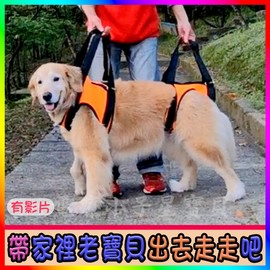 行走輔助帶 老犬介護行動不便老寶貝復健髖關節大型犬年長犬老犬行走輔助 99元 Pchome 商店街