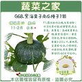 【蔬菜之家】G68.黑海栗子南瓜種子1顆 種子 園藝 園藝用品 園藝資材 園藝盆栽 園藝裝飾