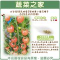 【蔬菜之家】大包裝G83.粉愛2號粉果小番茄種子0.25克(約100顆) 種子 園藝 園藝用品 園藝資材 園藝盆栽 園藝裝飾