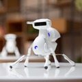 DFRobot 蟲蟲機器人 程式設計仿生遙控機器人套件 兒童智慧教育玩具 154-00170
