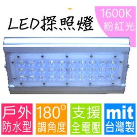 LED探照燈系列(台灣製) 50W↗防水↗粉紅光(約1600K) 【＊投射燈工作燈