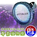 VITALUX防水型LED植物燈(P1光譜)多角度聚光/台灣製/紅藍複合光譜(＊植物生長燈;植生牆綠牆花牆植物照明燈)