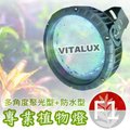 VITALUX防水型LED植物燈(F1光譜)多角度聚光/台灣製/紅白混光全光譜(＊植物生長燈;植生牆綠牆花牆植物照明燈)