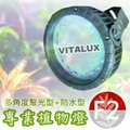 VITALUX防水型LED植物燈(F2光譜)多角度聚光/台灣製/紅白混光全光譜(＊植物生長燈;植生牆綠牆花牆植物照明燈)