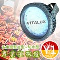 VITALUX防水型LED植物燈(Y1光譜)多角度聚光/台灣製/紅&amp;暖白混光全光譜(＊量子板 植物生長燈;植生牆綠牆花牆植物照明燈吊掛)