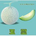 【日本進口蔬菜種子】玉璽禿網紋洋香瓜~結果後約55天採收，最後一週為甜度累積期，水分不宜過多。