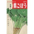 【日本進口蔬菜種子】葉牛蒡~與普通牛蒡不同，葉牛蒡是吃幼葉和幼根的，容易成長， 非常適合家庭菜園。