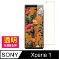 SONY Xperia 1 透明 手機鋼化膜保護貼